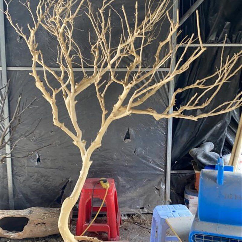 干树枝装饰许愿树原木剥皮造型枯树去皮干树枝摄影道具橱窗摆件婚