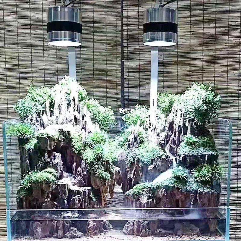 金晶超白缸鱼缸超白玻璃圆角水陆缸水草缸小型套缸斜口水陆缸
