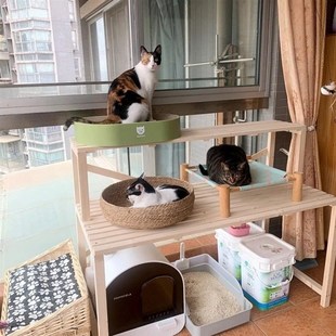 实木猫砂盆置物架子猫爬架一体柜子猫窝上方花架多层宠物用品收纳
