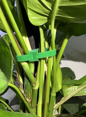 绑花扎带竹叶魔术贴园艺扎线植物固定捆绑绑带插花固定神器加长