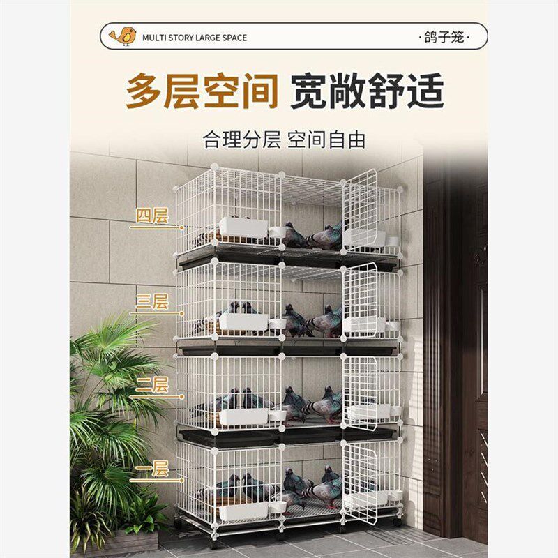 鸽子笼家用特大号养鸽子笼巢箱新型养殖柯尔鸭配对笼鸽舍鸽笼