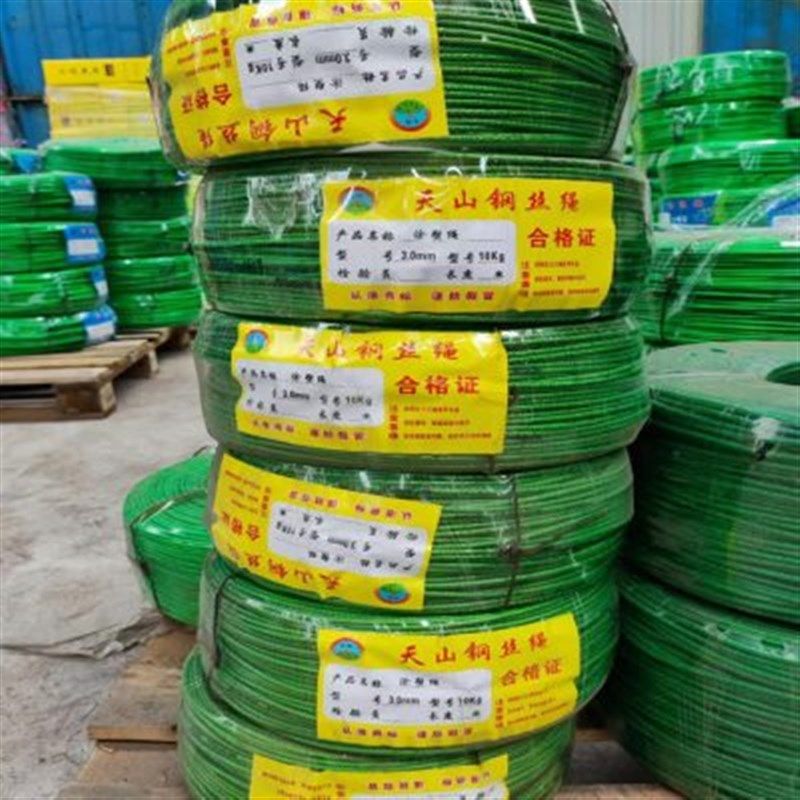 镀锌包塑钢丝绳子大棚葡萄架遮阳网带皮D包胶细牵引软拉线3456810