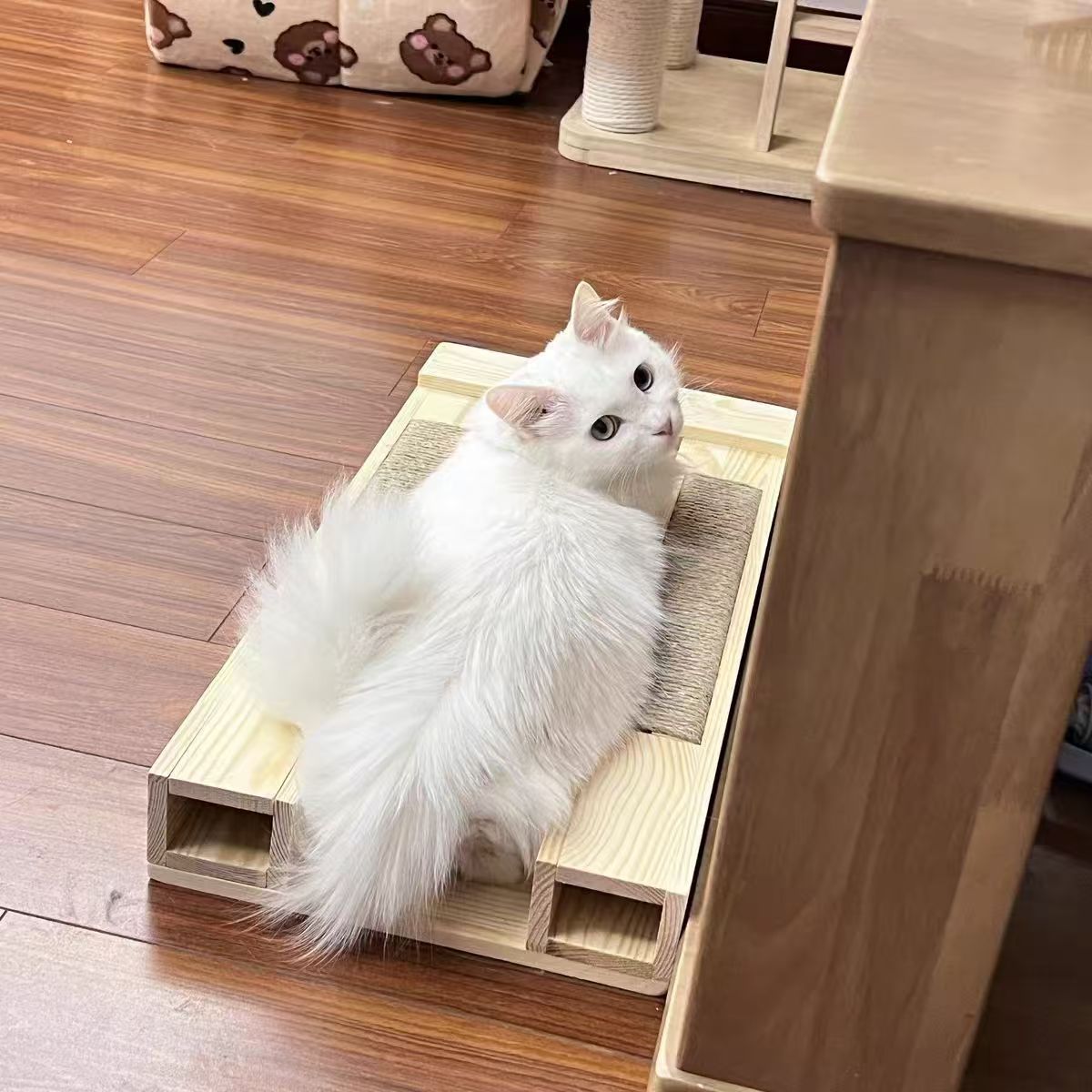 实木宠物矮脚猫配种公借配木架踏板工具配猫配猫架猫抓板