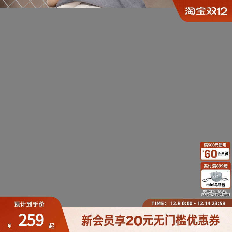 champion冠军双肩背包电脑包