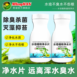 水培植物净水片花卉绿植保鲜剂碗莲铜钱草不臭水杀菌净化水质除臭