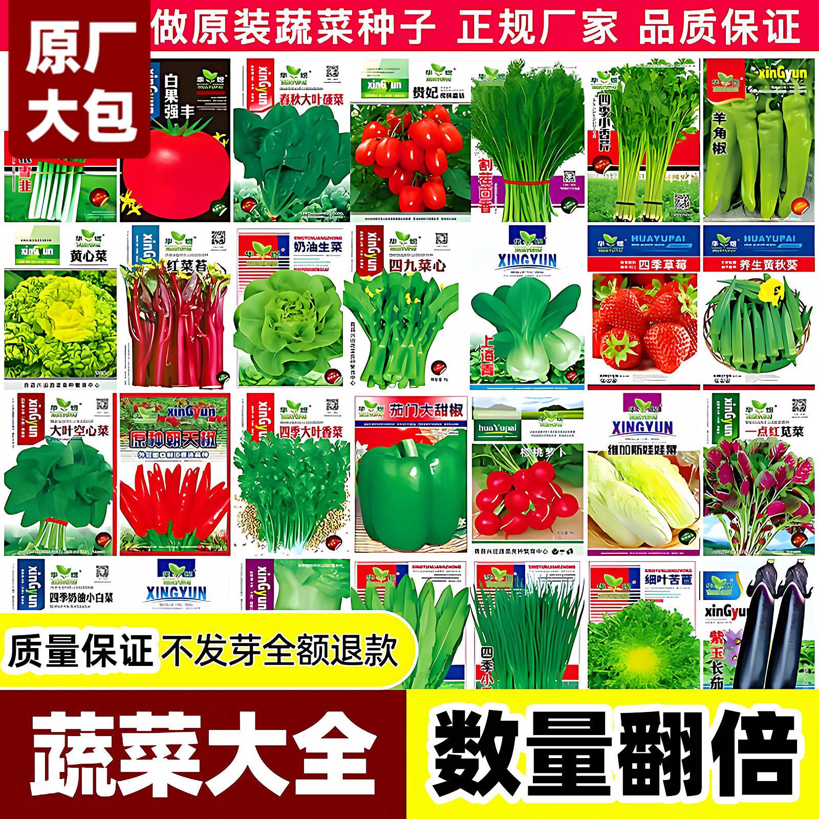 蔬菜种子大包四季播种原装鸡毛菜香菜生菜黄瓜阳台盆栽家庭种植