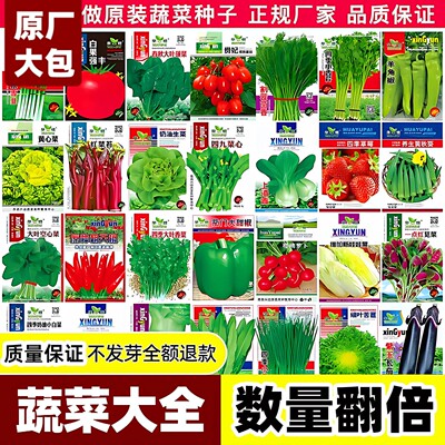 蔬菜种子大包四季播种