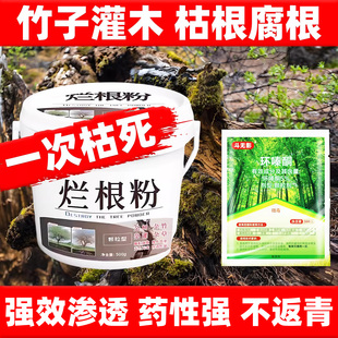 三氯吡环嗪酮强力大树烂根剂树竹专用药枯树根腐树根清除杂草竹子