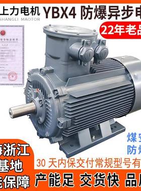 上海YBX4-315S-675W电机防爆证全技改项目源头厂家直供应