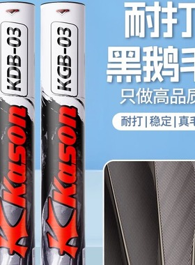 李宁凯胜羽毛球KDB03日常训练专用耐打飞行稳定防风不易烂FYQT009