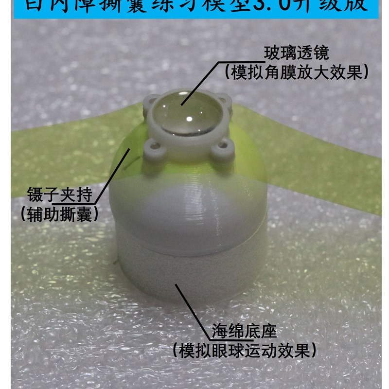 眼科环形撕囊 手术练F习模型3.0升级版