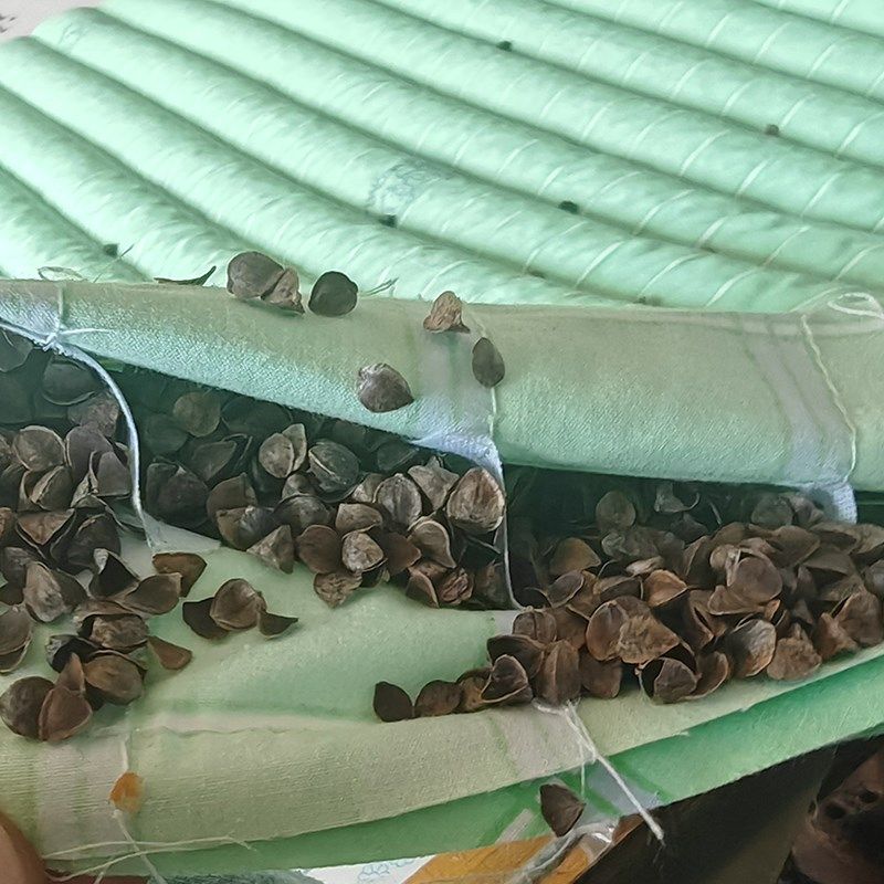 志成多维荞麦褥子床垫新生儿婴幼儿童褥垫凉爽透气婴童垫清凉舒适,婴童用品,婴童床垫,淘宝优惠券,粉丝福利购,淘宝优惠卷