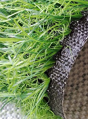 人造草坪仿真草坪商场TPR室内地毯健身房阳台绿色防滑仿真草坪