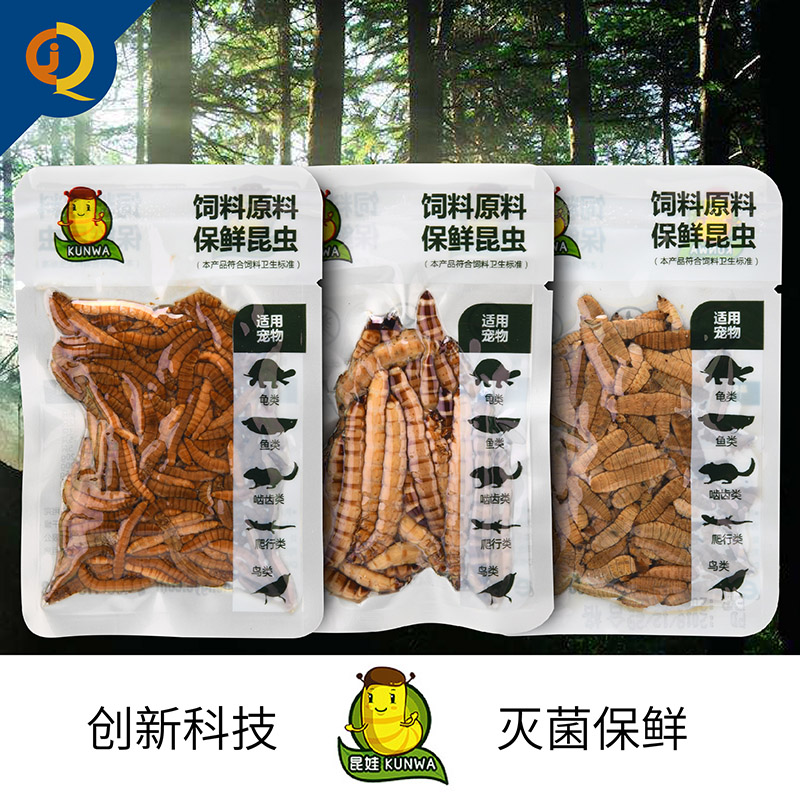 昆娃保鮮昆蟲魚食爬蟲鳥龜寵物龍魚飼料大麥蟲蟑螂蟋蟀蜈蚣面包蟲