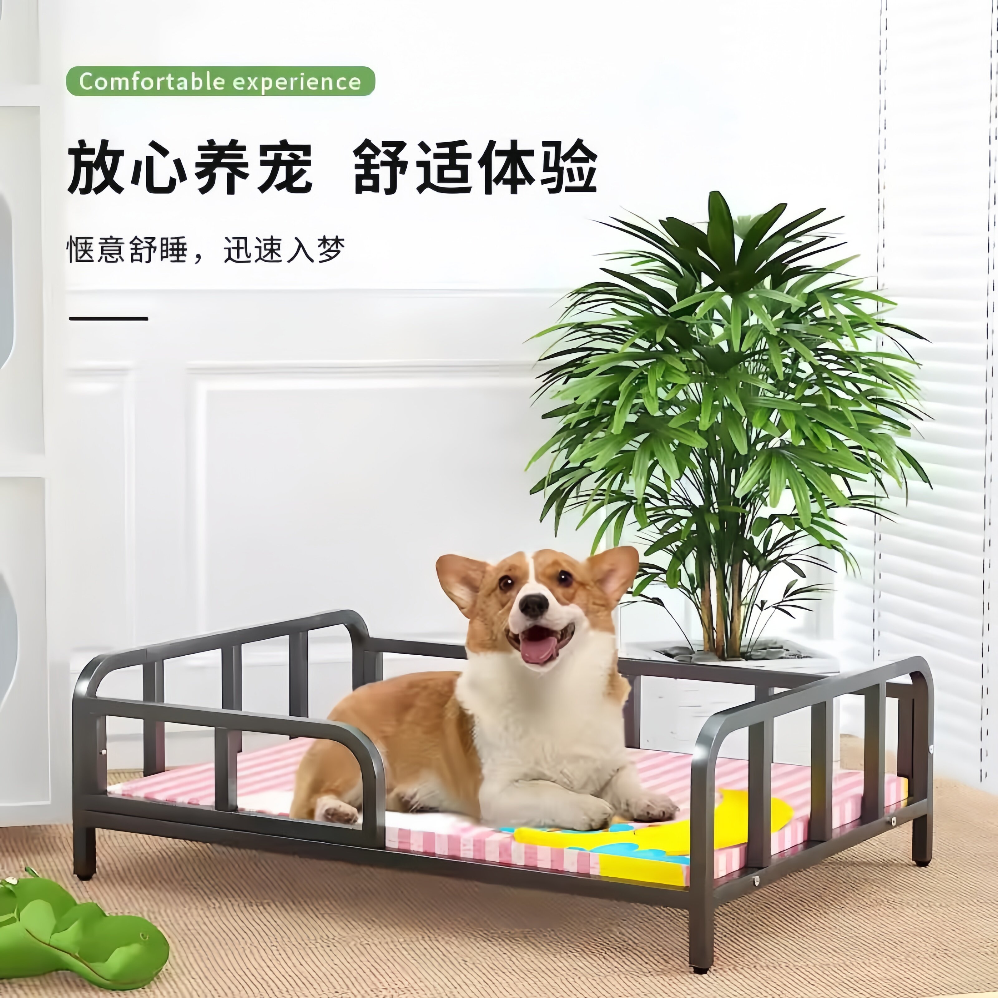 狗床悬空离地狗窝中型犬宠物床小型犬铁艺猫床行军床网红夏季大型