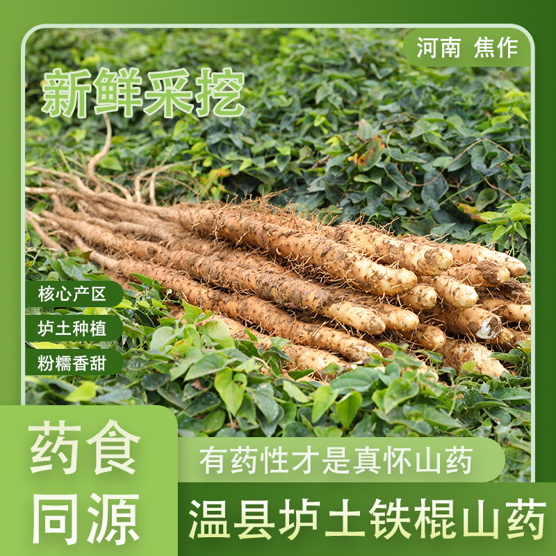 正宗河南焦作铁棍长山药怀山药温县垆土官方旗舰店淮山药新鲜现挖