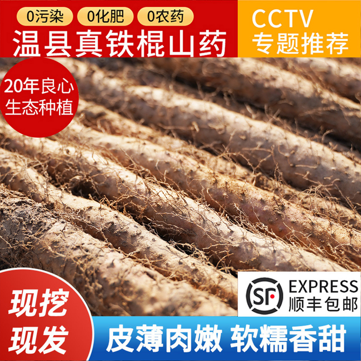 正宗河南焦作铁棍长怀山药健温县垆土官方旗舰店脾淮山药粉干新鲜