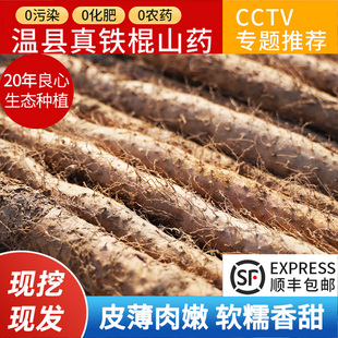 正宗河南焦作铁棍长怀山药健温县垆土官方旗舰店脾淮山药粉干新鲜
