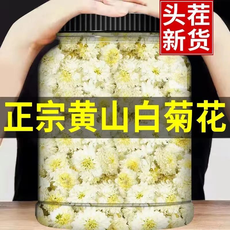 正宗黄山贡菊500g特级白菊花散装新货茶另售特级胎菊金丝皇菊