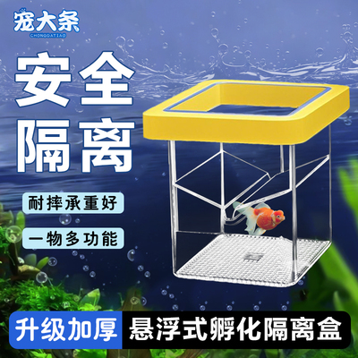 悬浮式孵化隔离盒亚克力漂浮