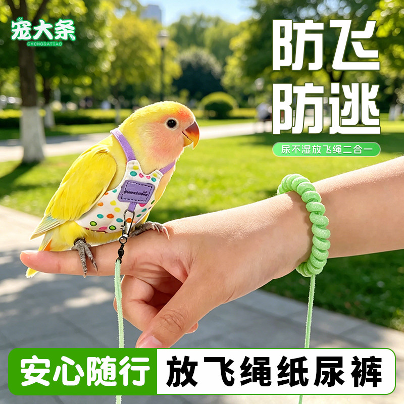【宠大条】鹦鹉放飞绳纸尿裤按扣款屎尿便兜尿裤虎皮牡丹鸟放飞服