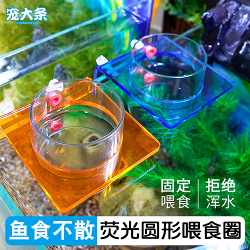 宠大条新款荧光支架防飘散喂食器