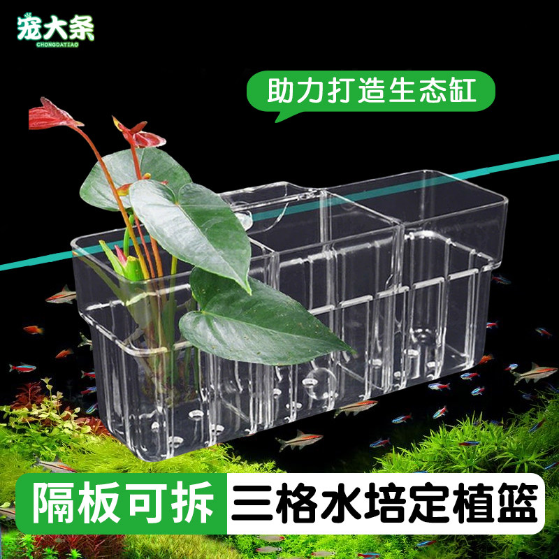 【宠大条】新款三格水培植物篮鱼缸造景壁挂式水草定植篮绿萝固定