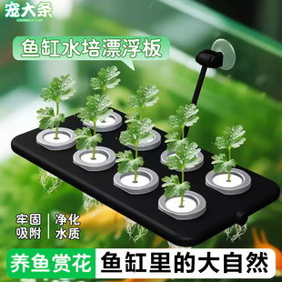 魚缸水培定植籃吸盤式 綠植漂浮板造景凈化水質(zhì)水草固定 寵大條