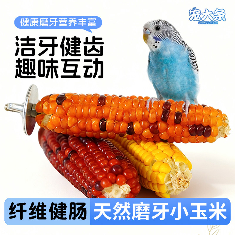 【宠大条】玉米站杆磨牙棒零食虎皮牡丹玄凤训练奖励鸟粮鸟笼用品,宠物/宠物食品及用品,鸟玩具,淘宝优惠券,粉丝福利购,淘宝优惠卷