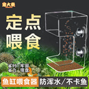 鱼缸喂食器防飘散防浑水鱼食投喂器喂鱼投食圈定点投喂 宠大条
