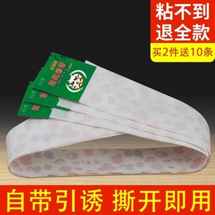 苍蝇贴粘蝇纸强力粘灭蝇彩带条诱杀沾蝇子蚊虫神器大号家用板捕捉