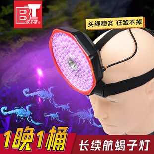 蝎子灯专用照蝎子紫光灯充电长续航豆虫灯头戴式大功率型强光头灯