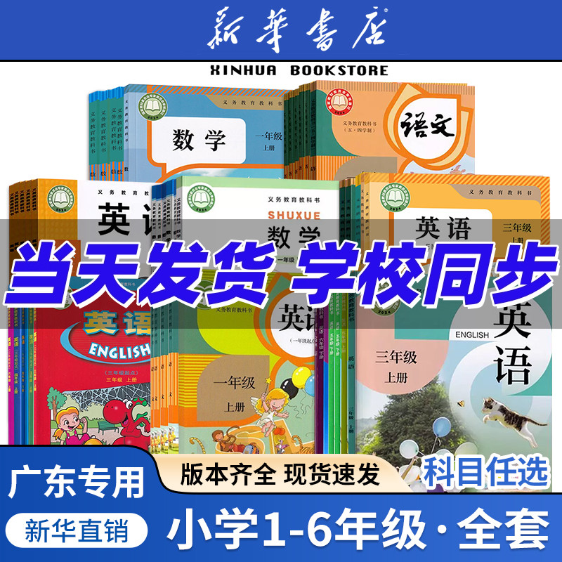 新华正版2025广东小学一年