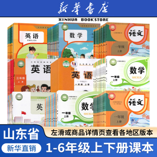 外研版 部编版 2025山东专用小学一二三四五六年级上册下册语文数学英语书课本教材全套人教版 五四制六三制青岛版 新华书店正版