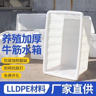 加厚牛筋水箱塑料桶长方形大容量养鱼卖鱼养殖水箱家用储水桶浅盆