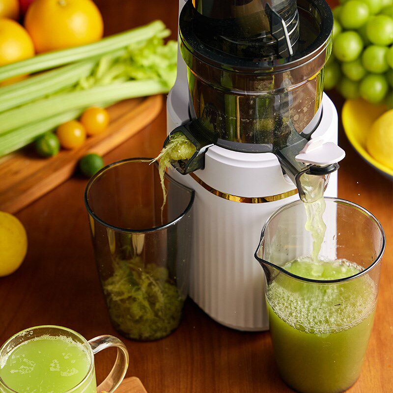 大宇榨汁机家用渣汁分离全自动原汁机小型新款鲜榨蔬果汁机大口径