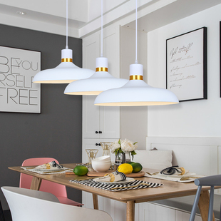 单头餐桌吊灯现代简约商铺店面饭店工作室美容院创意个性单个灯罩