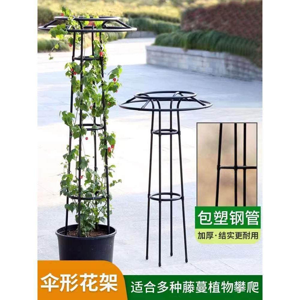 伞型花架爬藤支架花园月季爬藤架子铁线莲花盆支架园艺花架支撑杆,橡塑材料及制品,其他塑料制品,淘宝优惠券,粉丝福利购,淘宝优惠卷