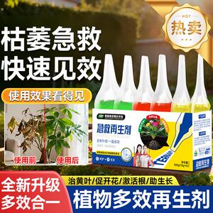 植界植物再生剂绿植花卉浓缩营养液发财树三角梅通用型月季兰花肥