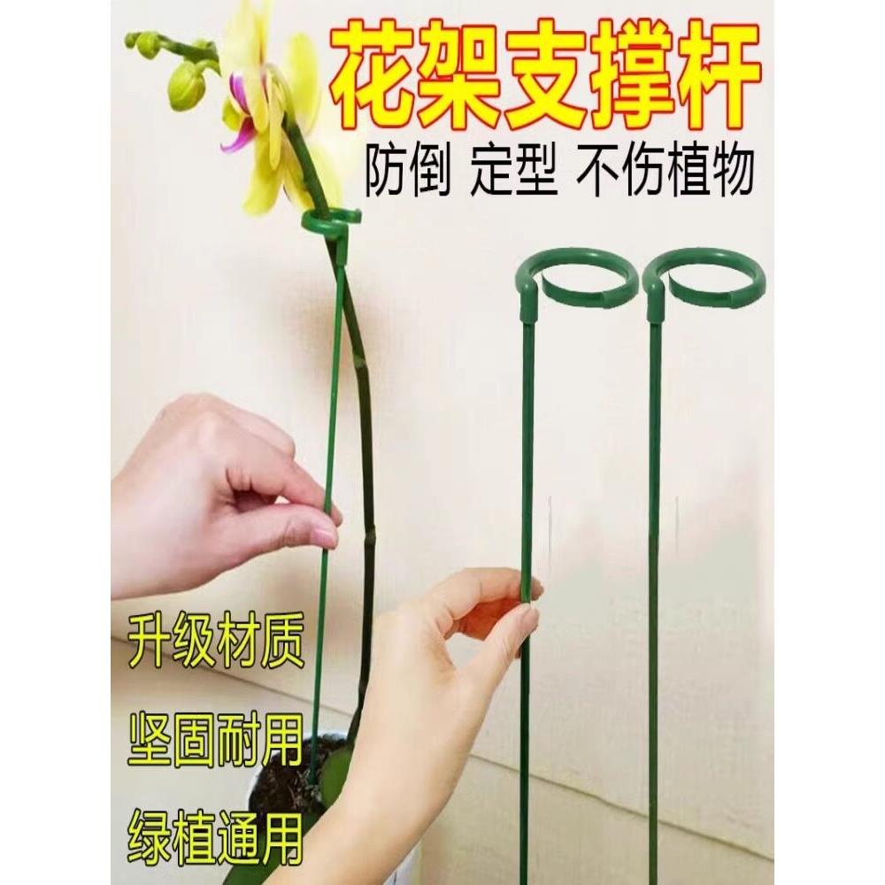植物固定防倒伏花架子园艺支撑单杆室外花园月季爬藤种菜捆扎支架