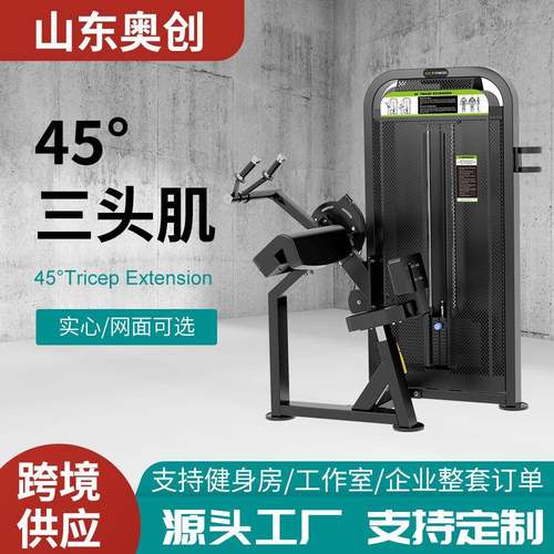 跨境健身房商用训练运动器材肱三头肌腰部后压腹部前屈男士训练器
