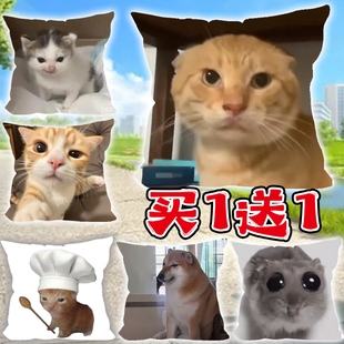 猫meme抱枕小猫剧场玩偶创意宠物哈基米厨师帽万恶之源车载靠枕女