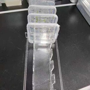 有机玻璃培养皿架 10孔 竖放 放10×10cm 100*100mm 方形塑料培养