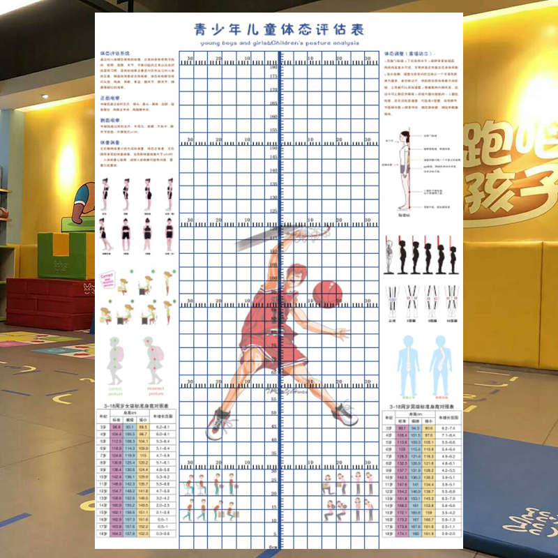 儿童体态评估表舞蹈室培训武馆篮球馆身体评估图青少年站姿体测表