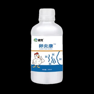 鸽子卵炎康鸡鸭鹅禽用蛋鸡输卵管炎血壳蛋鸽子不下蛋砂皮蛋软壳蛋