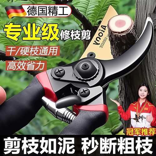 德国园艺修枝剪专业级艺园剪刀剪枝条专用高效省力果园林园花园剪