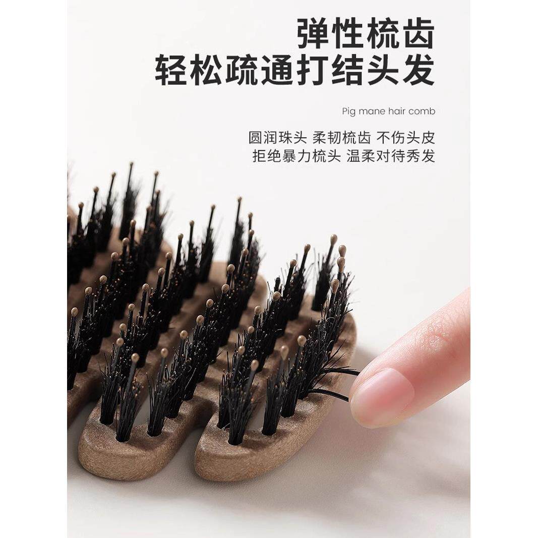 新产品松果猪鬃梳蓬松的头发护理卷发平滑高头骨头发缝梳肋骨梳人
