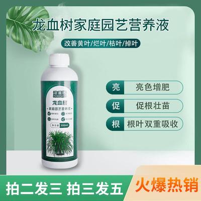 法滋园龙血树专用营养液龙须树增肥催芽防黄叶枯叶烂根浓缩园艺