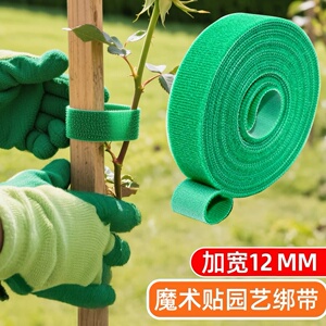 园艺魔术贴绑花扎带植物定型