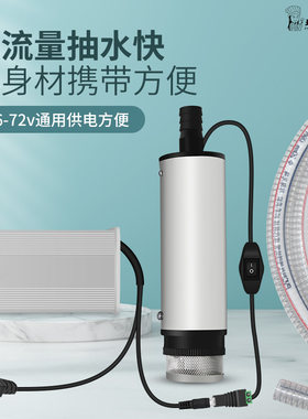 抽油泵柴油48V电车抽水泵60伏电动三轮车小型自吸泵72V柴油泵潜水